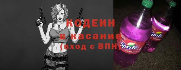 дурь Краснослободск