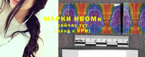 дурь Краснослободск